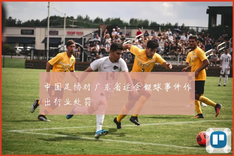 中国足协对广东省运会假球事件作出行业处罚