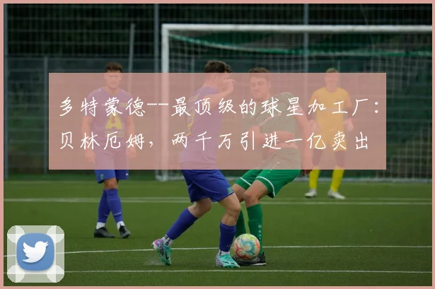 多特蒙德--最顶级的球星加工厂：贝林厄姆，两千万引进一亿卖出